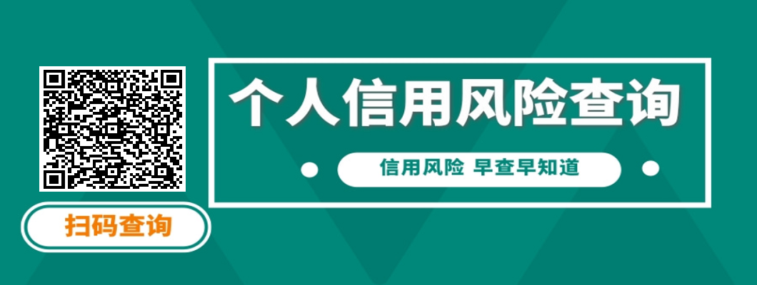 网贷大数据在线查询